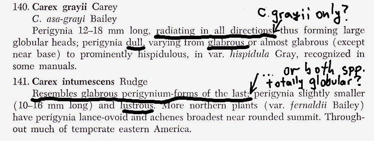 excerpt from monocots of Ohio