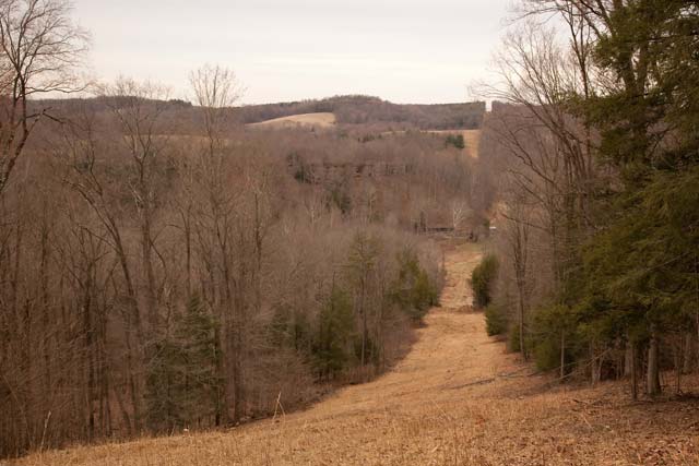 Deep Woods Preserve