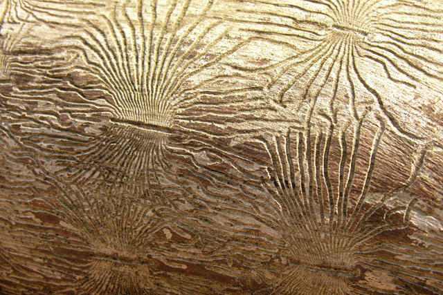 bark beetle engravings