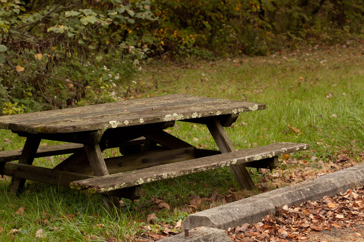 picnic table with Flavoparmelia and Cladonia