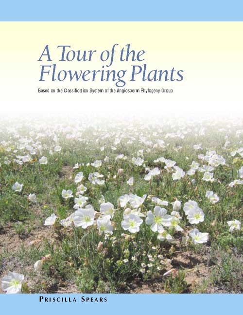A Tour of the Flwering Plants