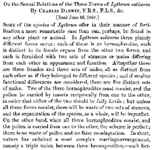 Darwin's Lythrum text