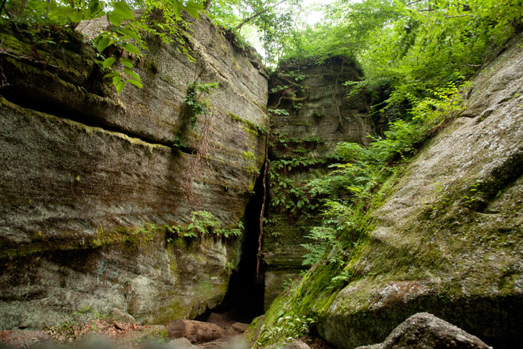 Nelson Ledges