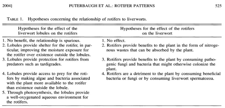 Liverwort Rotifer Table
