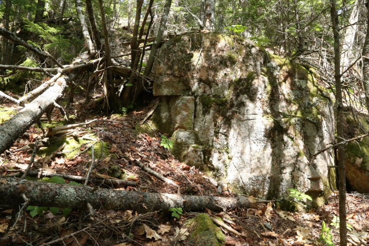 Stone ledge in the woods, is Psilolechia lucida habitat.