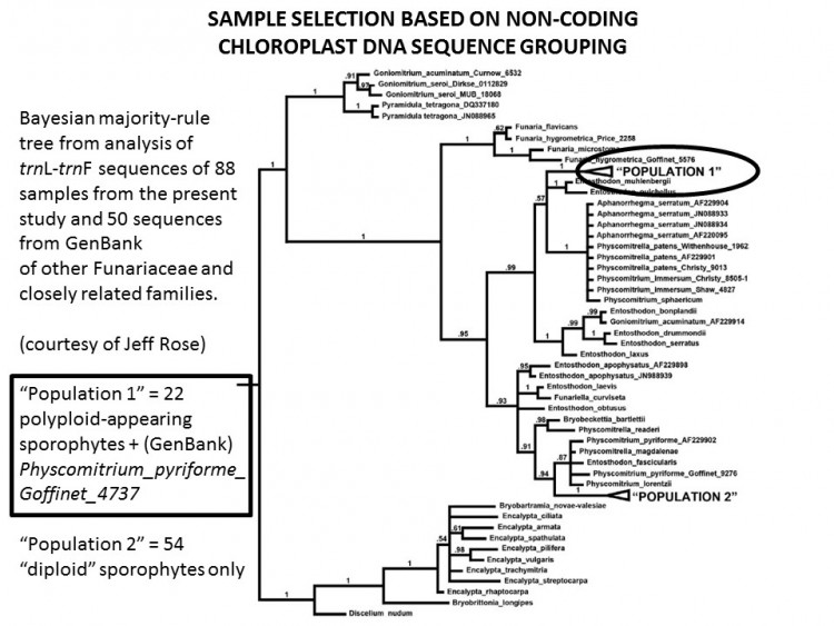 Slide22