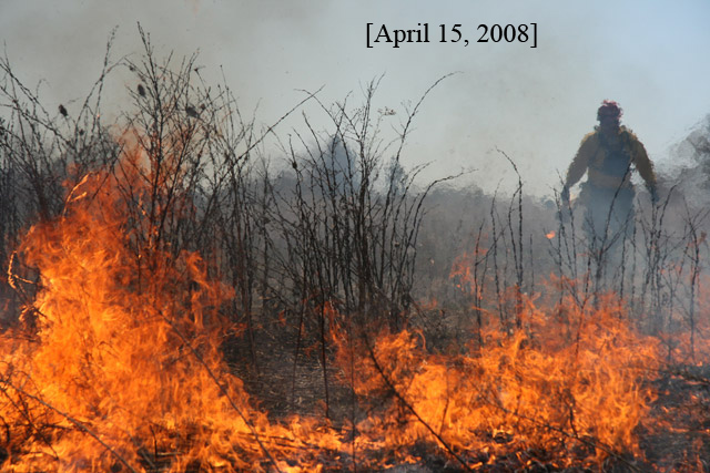Controlled burn at Larry R. Yoder Prairie<br>April 15, 2008